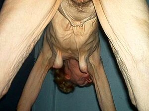 Avozinha Porn